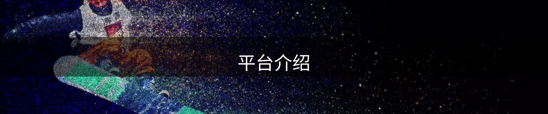 平台介绍